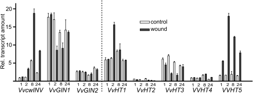 Figure 2.