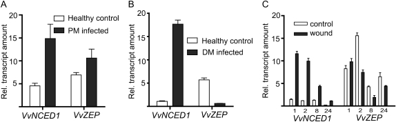 Figure 5.