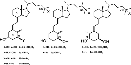 FIGURE 1.