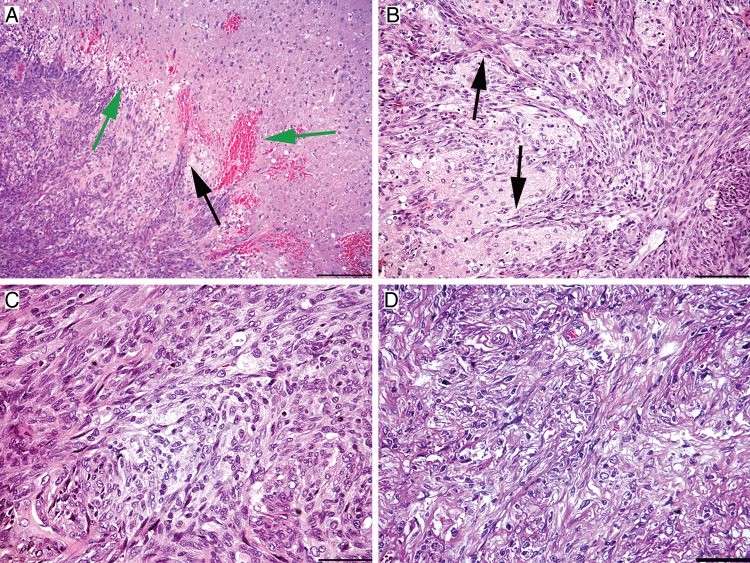 Fig. 2.