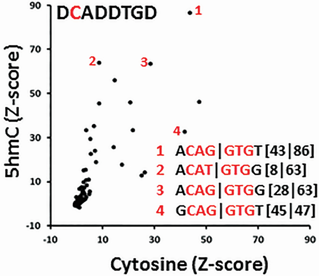 Figure 4.