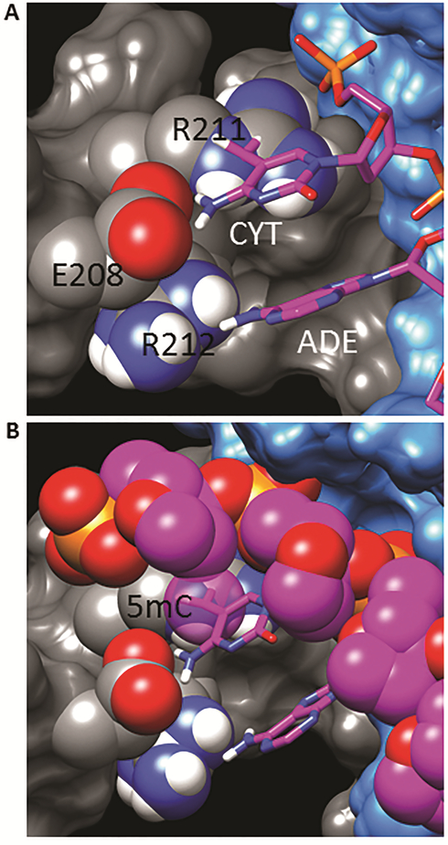 Figure 10.