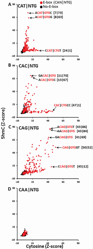 Figure 6.