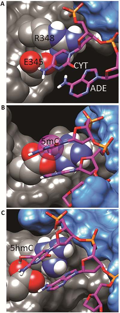 Figure 9.