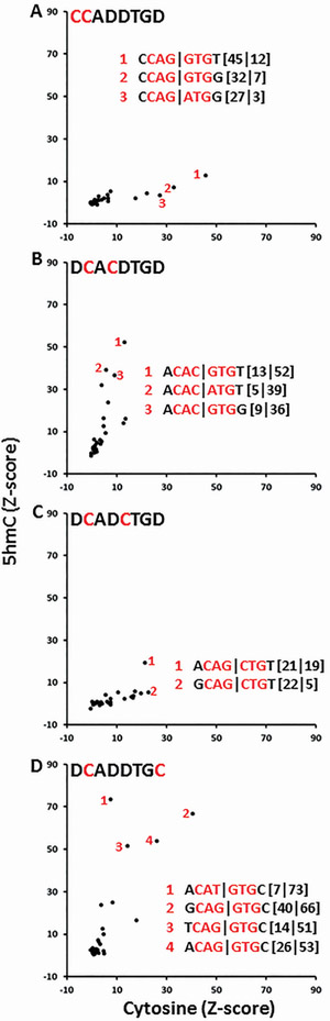 Figure 5.