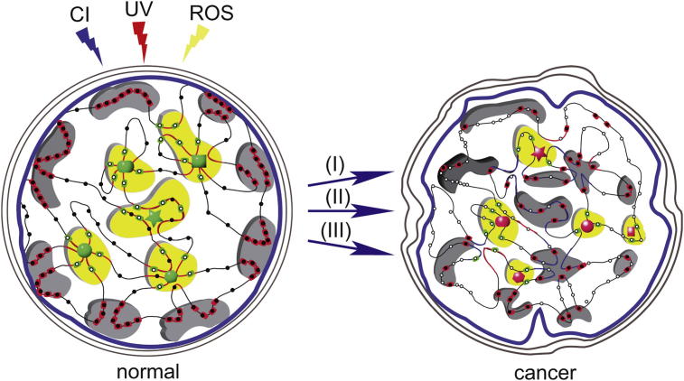 Fig. 3