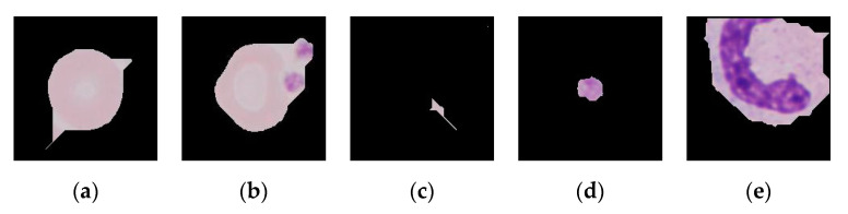 Figure 11