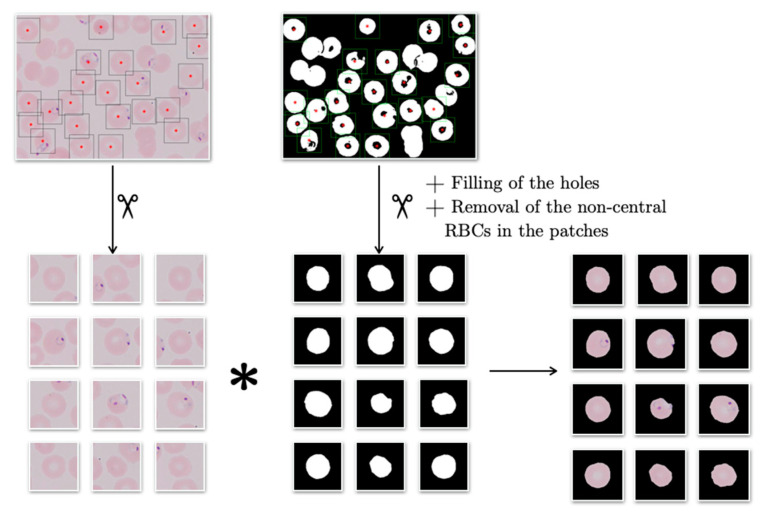 Figure 6