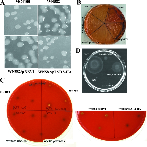 FIG. 2.