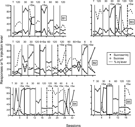 Fig 6