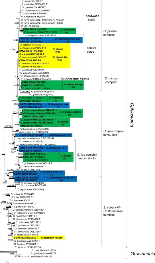 Fig. 2