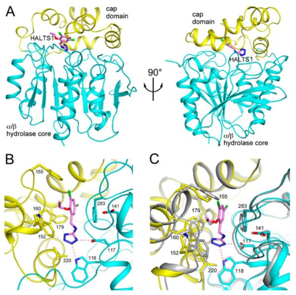 Figure 5