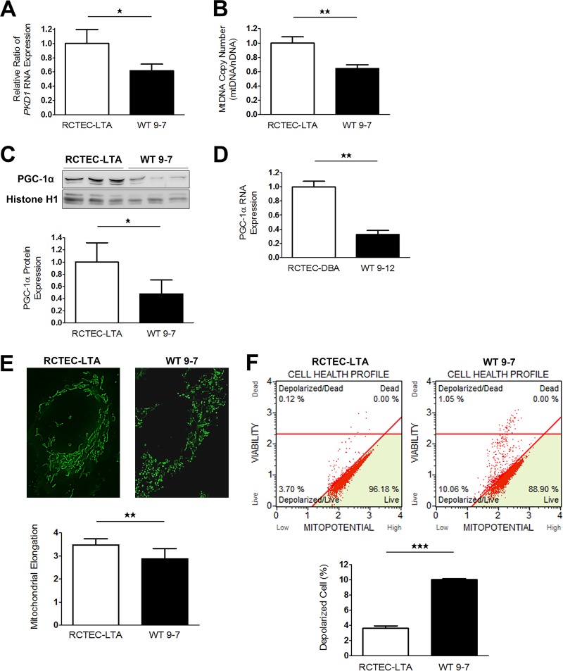 FIG 6