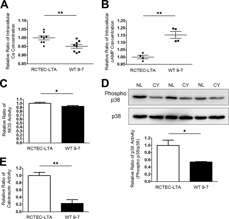 FIG 11