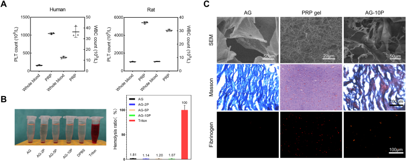 Fig. 3