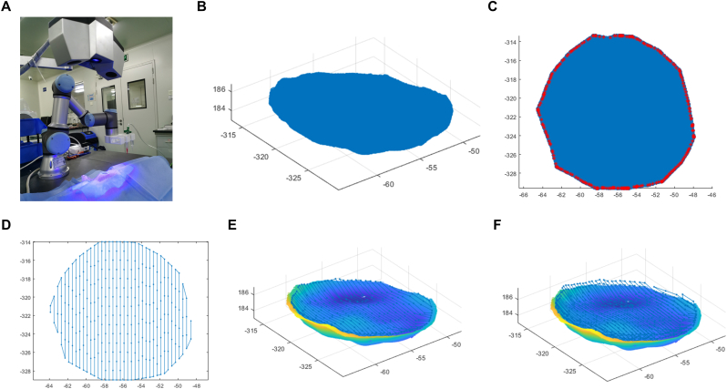 Fig. 10