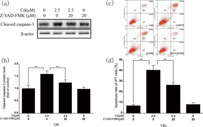 Fig 5