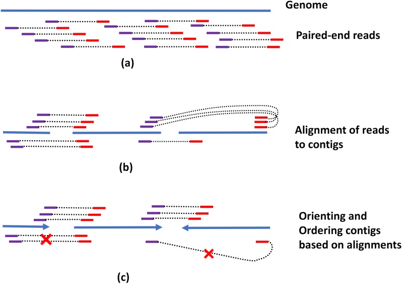 Fig 4