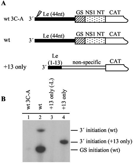 FIG. 5.