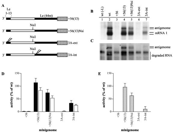 FIG. 4.