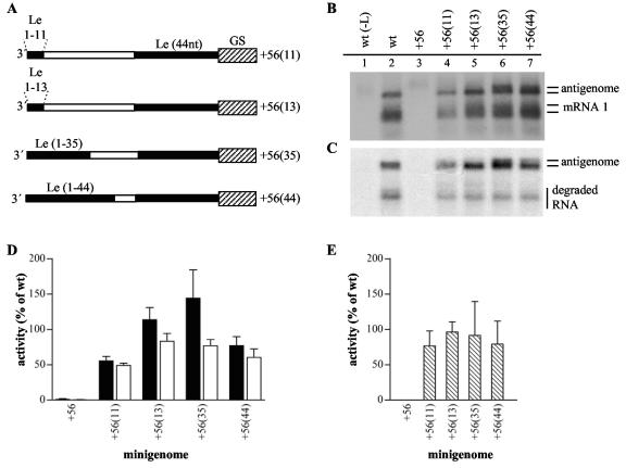 FIG. 6.