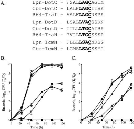 FIG. 2.