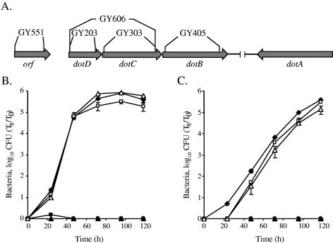 FIG. 1.