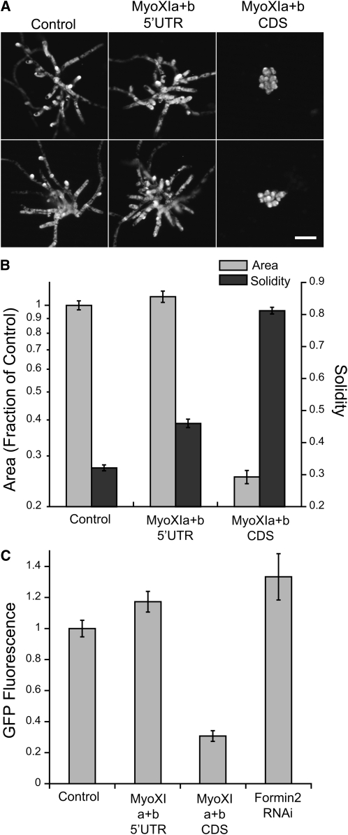 Figure 6.