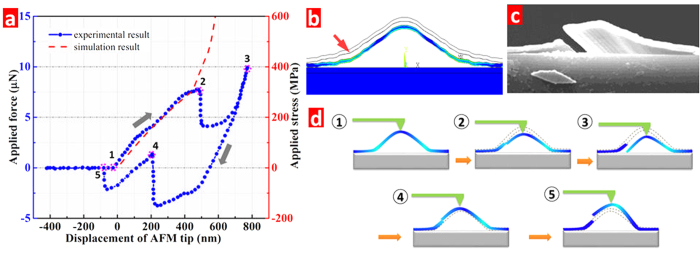 Figure 7