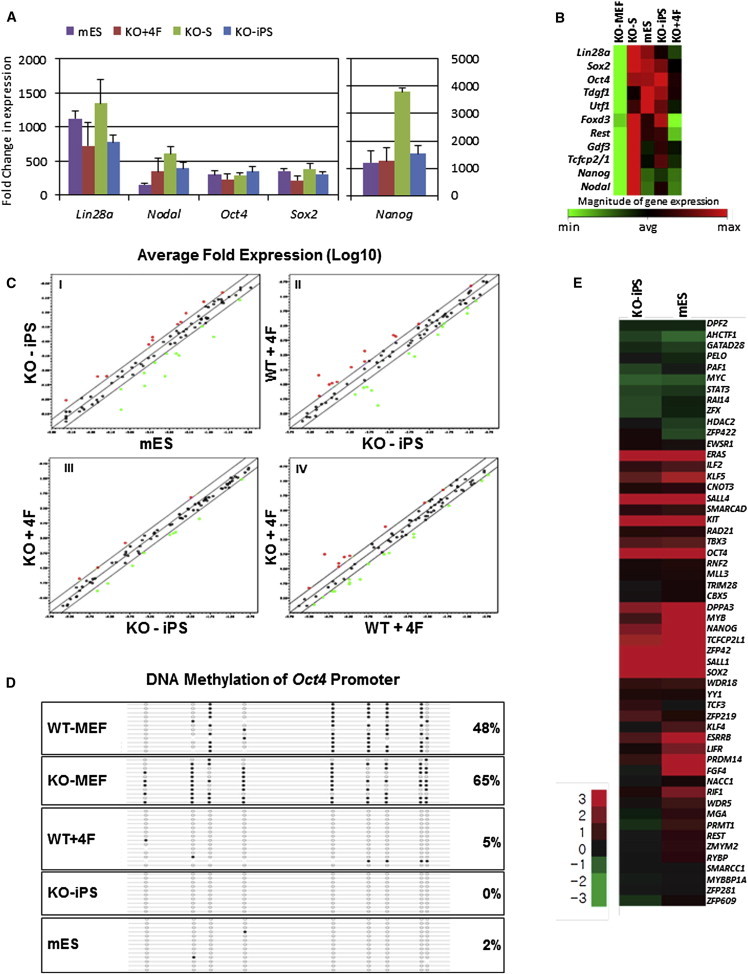 Figure 2