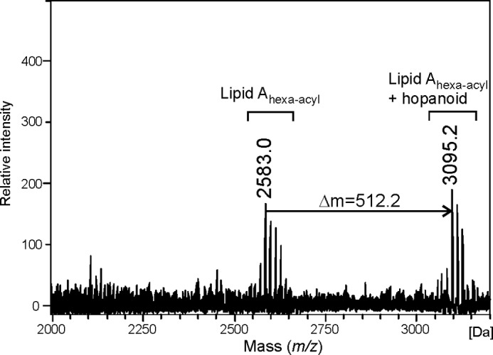 FIGURE 4.