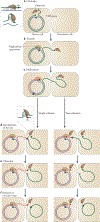 Figure 5 |