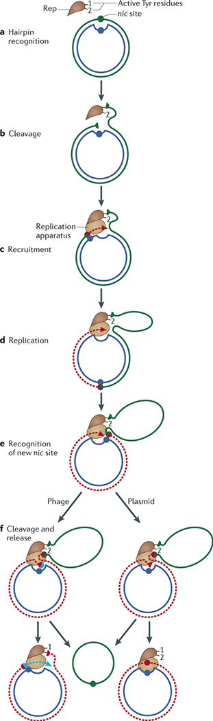 Figure 3 |