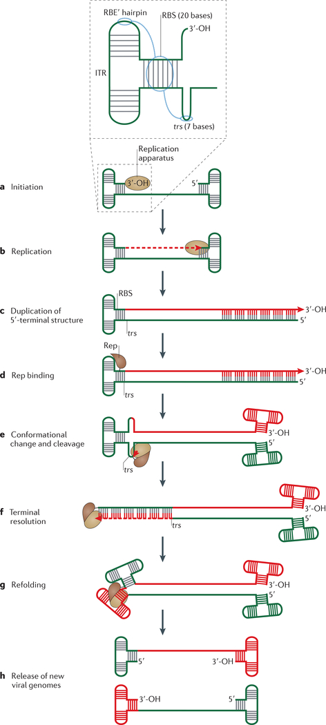 Figure 4 |