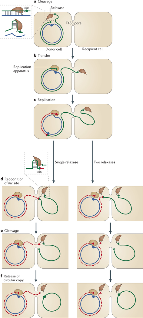 Figure 5 |