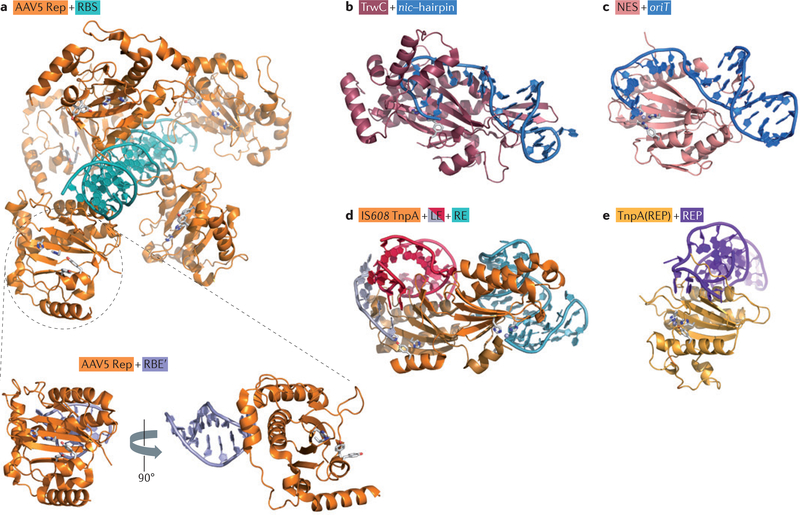 Figure 2 |