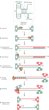 Figure 4 |