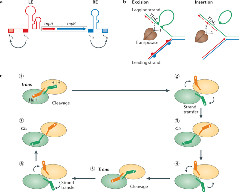 Figure 6 |