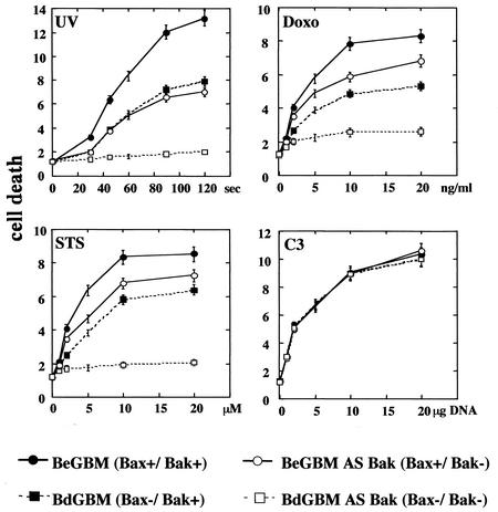 FIG. 5.