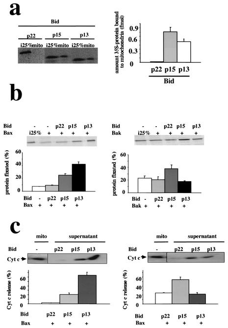 FIG. 8.