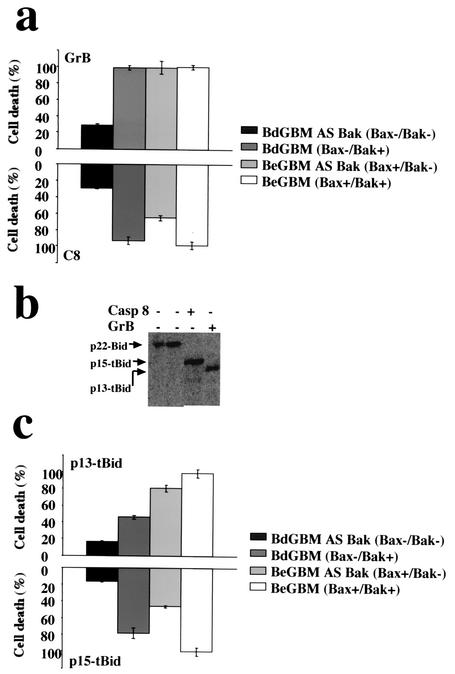 FIG. 7.