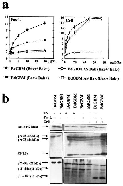 FIG. 6.