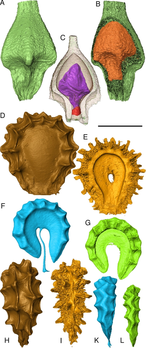 Fig. 3.