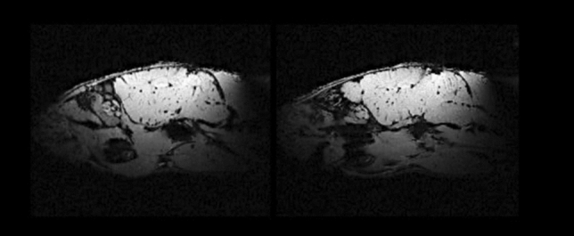 Fig. 9