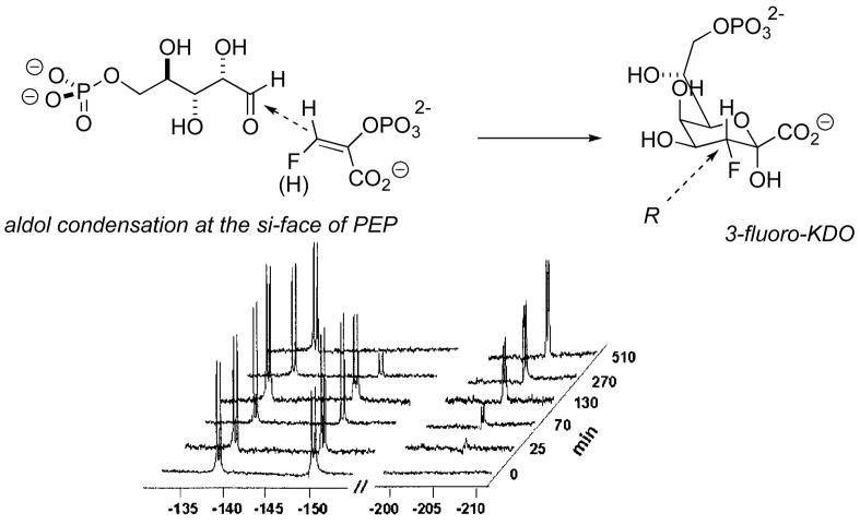 Fig. 3