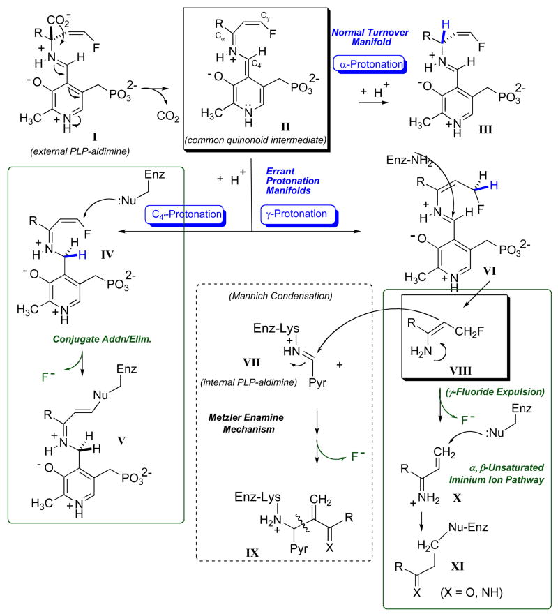 Fig. 13