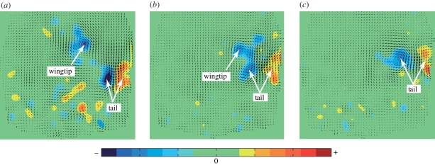 Figure 5.