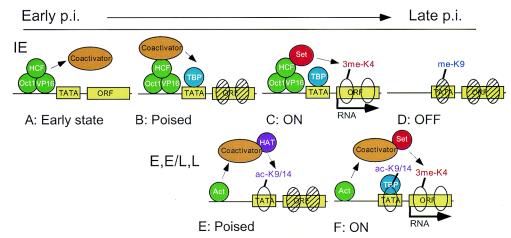 FIG. 6.