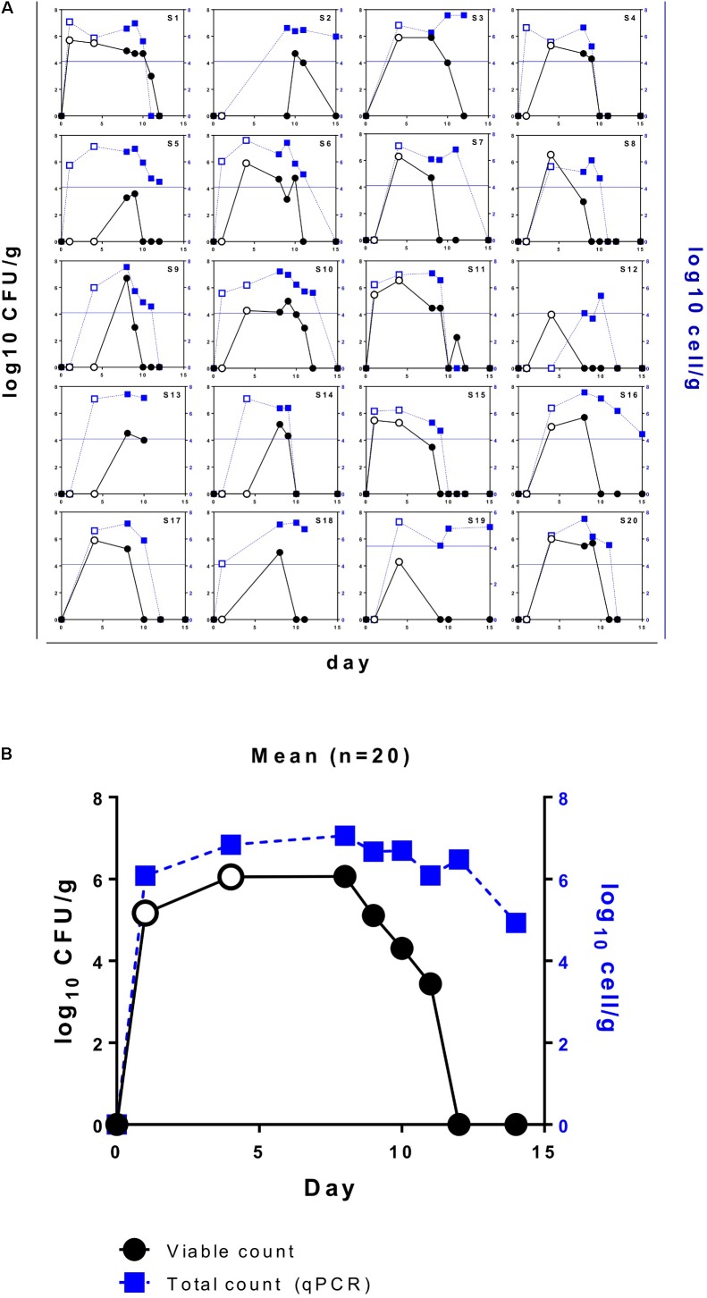 FIGURE 3