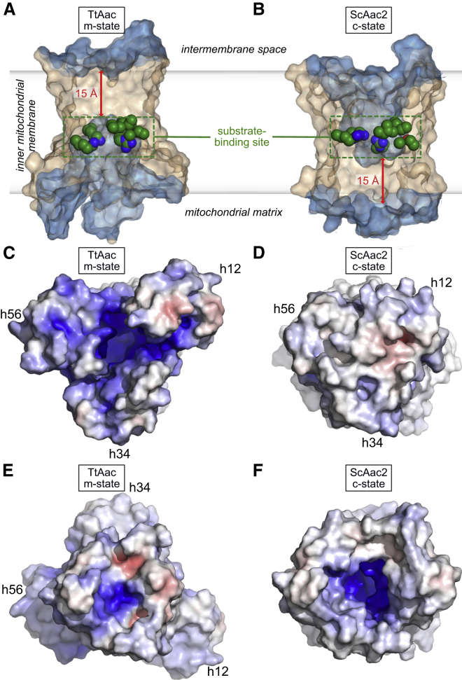 Figure 2